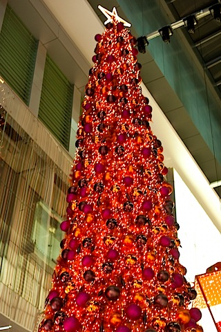 OXO-10.jpg