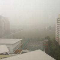 20130330-165344.jpg